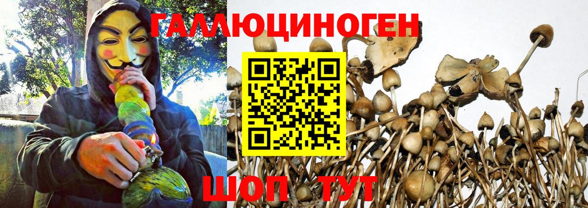 Галлюциногенные грибы мицелий Коркино